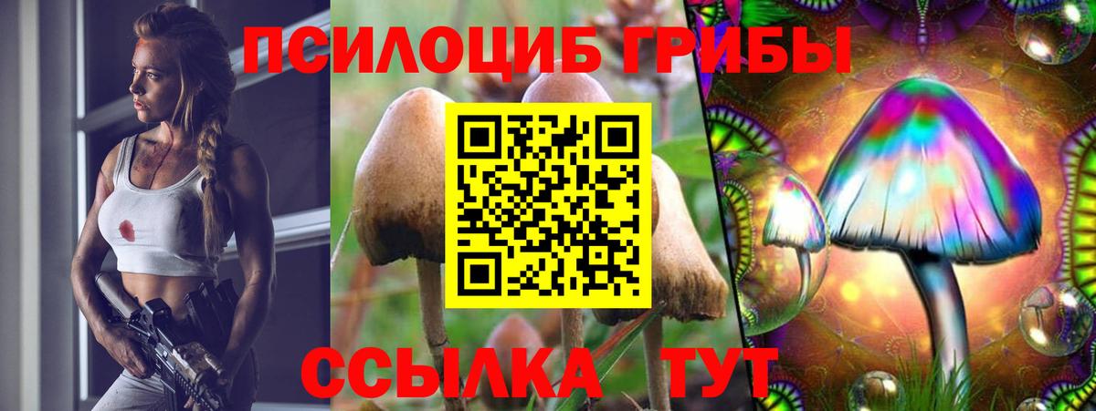Бузулук  Псилоцибиновые грибы MAGIC MUSHROOMS  Вход с VPN 